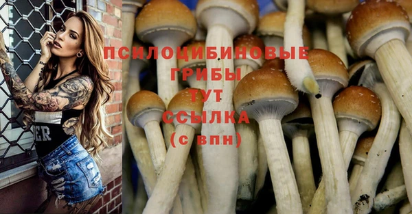 2c-b Алзамай