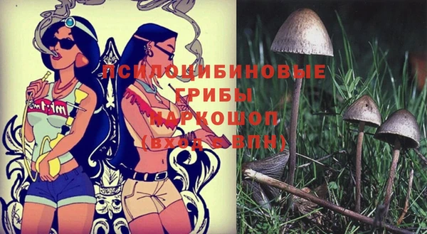 тгк Алексеевка