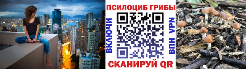 блэк спрут маркетплейс  Кремёнки  Галлюциногенные грибы MAGIC MUSHROOMS  купить  